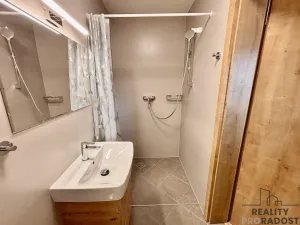 Pronájem ubytování, Olšany u Prostějova - Hablov, 303 m2