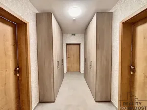 Pronájem apartmánu, Olšany u Prostějova - Hablov, 247 m2