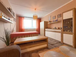 Pronájem bytu 1+1, Jirkov, SNP, 39 m2