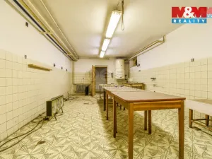 Prodej obchodního prostoru, Bílovec - Lubojaty, 500 m2