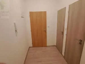 Pronájem bytu 1+kk, Ostrava, Na Fifejdách, 34 m2
