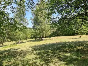 Prodej pozemku pro bydlení, Vlachovo Březí, 16463 m2