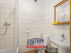 Prodej ubytování, Stachy, Kůsov, 660 m2