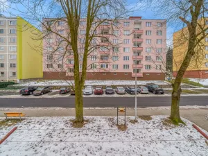 Prodej bytu 2+1, Ostrov, Lidická, 54 m2