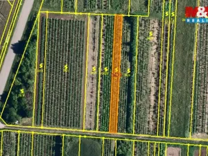 Prodej pole, Moravský Žižkov, 400 m2