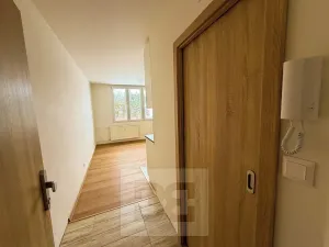 Pronájem bytu 1+kk, Dolní Bělá, 23 m2
