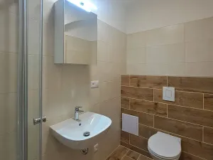 Pronájem bytu 1+kk, Brno, Koliště, 28 m2