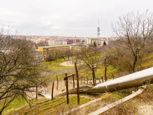 Pronájem bytu 1+1, Praha - Žižkov, Jičínská, 30 m2