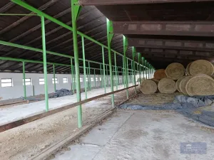 Prodej komerčního pozemku, Pavlov, 2000000 m2