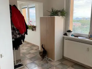 Prodej bytu 2+kk, Praha - Krč, Štúrova, 68 m2