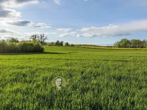 Prodej pozemku pro bydlení, Česká Skalice, 30928 m2