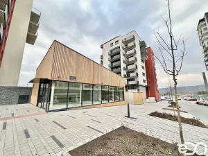 Pronájem bytu 1+kk, Praha, Zlochova, 36 m2