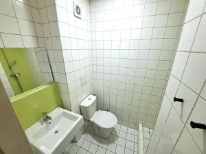Pronájem bytu 1+kk, Praha - Vysočany, U vinných sklepů, 30 m2