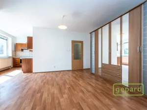 Pronájem bytu 1+1, Praha, Herlíkovická, 43 m2