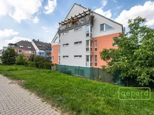 Pronájem bytu 1+kk, Praha, Herlíkovická, 43 m2