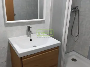 Pronájem bytu 1+kk, Praha, Herlíkovická, 43 m2