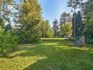 Prodej zahrady, Nové Dvory, 2555 m2