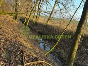 Prodej lesa, Jistebník, 5452 m2