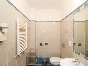 Pronájem bytu 1+kk, Praha - Vinohrady, Balbínova, 24 m2