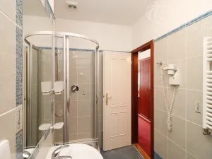 Pronájem bytu 1+kk, Praha - Vinohrady, Balbínova, 24 m2