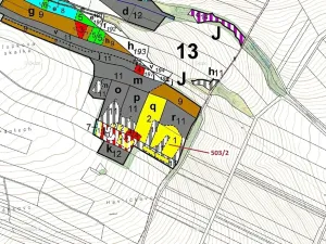 Dražba lesa, Přemyslovice, 6942 m2
