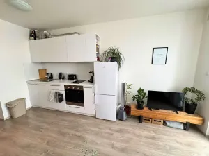 Pronájem bytu 1+kk, Horoměřice, Velvarská, 28 m2