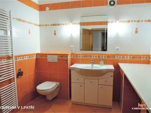 Pronájem pokoje, Brno, Marie Hübnerové, 14 m2