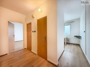 Pronájem bytu 2+1, Duchcov, Horská cesta, 52 m2