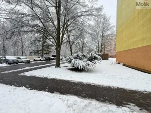 Pronájem bytu 2+1, Duchcov, Horská cesta, 52 m2