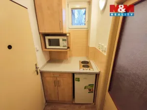 Pronájem bytu 1+kk, Ostrava - Moravská Ostrava, Vítězná, 26 m2