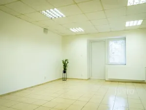 Pronájem rodinného domu, Brno, Kosmákova, 70 m2