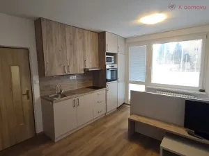 Pronájem bytu 1+kk, Přerov - Přerov I-Město, Trávník, 26 m2