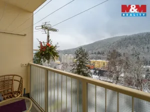 Prodej bytu 3+1, Děčín - Děčín IX-Bynov, Vítova, 74 m2