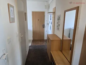 Prodej bytu 3+1, Olomouc - Nové Sady, Zikova, 68 m2