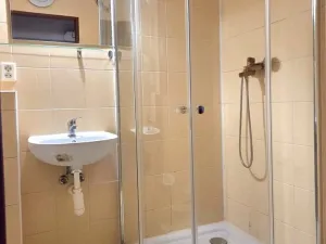 Pronájem bytu 2+kk, Plzeň - Jižní Předměstí, Hálkova, 50 m2