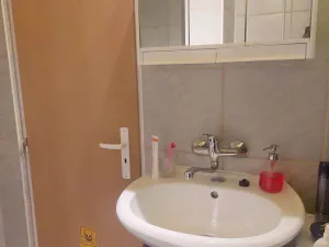 Prodej bytu 1+kk, Brno - Dolní Heršpice, 29 m2