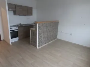 Prodej bytu 1+1, Jiříkov, Svobodova, 46 m2