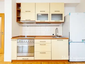 Pronájem bytu 1+kk, Praha - Žižkov, V zahrádkách, 38 m2