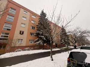 Prodej bytu 3+1, Most, Zdeňka Fibicha, 80 m2