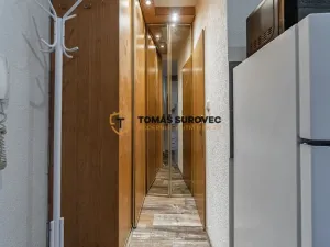 Prodej bytu 1+kk, Kroměříž, Oskol, 28 m2