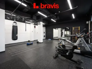 Pronájem bytu 1+kk, Brno - Trnitá, Dornych, 24 m2