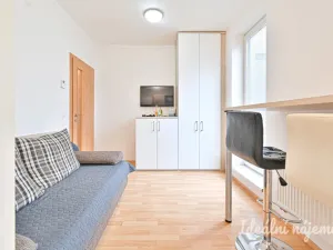 Pronájem bytu 1+kk, Brno - Bystrc, Markůvky, 30 m2