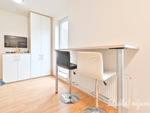 Pronájem bytu 1+kk, Brno - Bystrc, Markůvky, 30 m2