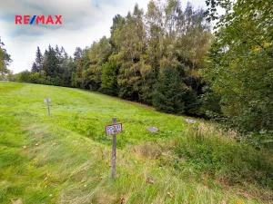 Prodej pozemku pro bydlení, Orličky, 61702 m2