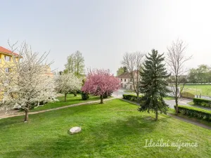 Pronájem bytu 2+kk, Tursko, Nová, 44 m2