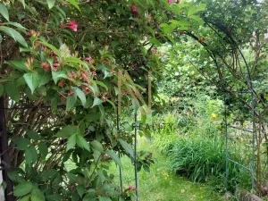 Pronájem bytu 2+kk, Domažlice, náměstí Míru, 69 m2