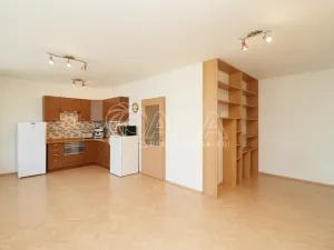 Pronájem bytu 1+kk, Praha, 42 m2