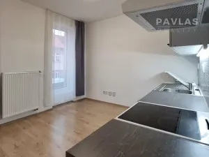 Pronájem bytu 1+kk, České Budějovice, Lidická tř., 29 m2