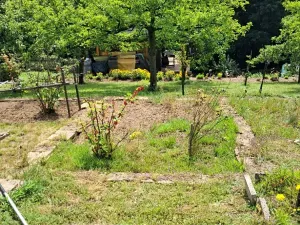 Prodej - jiné, Desná, Sokolská, 18 m2