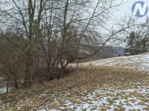 Prodej lesa, Lčovice, 759 m2